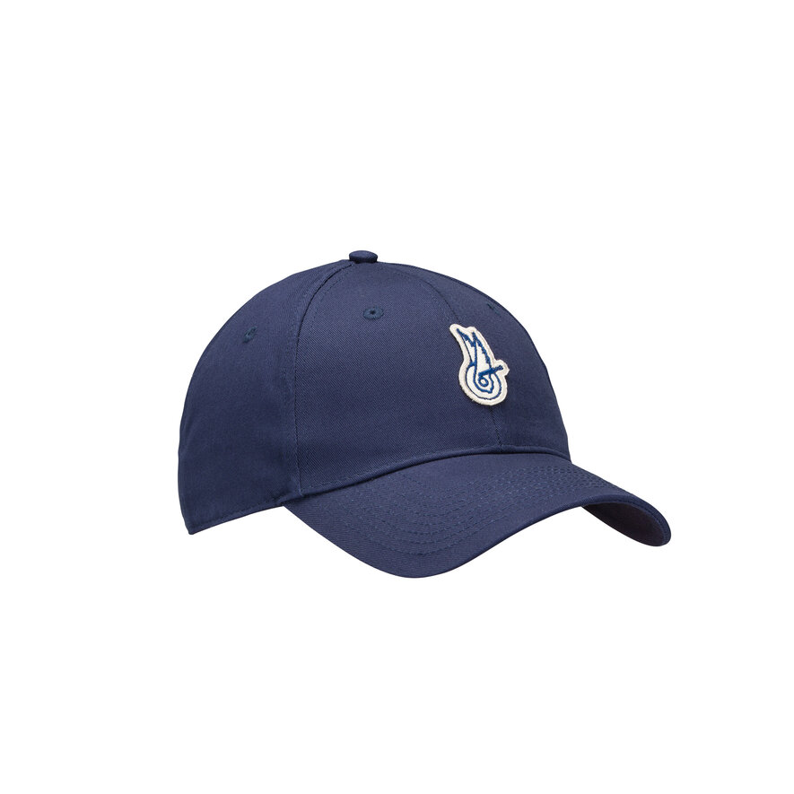 WINGED LOGO CAP, BLUE, hi-res-1